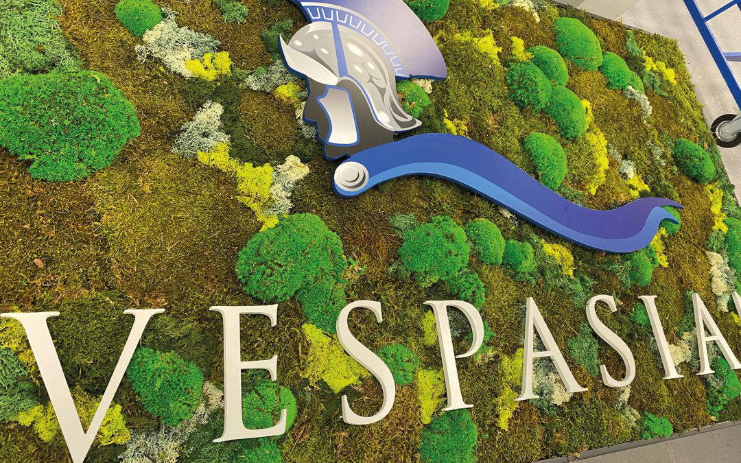 Vespasian Security